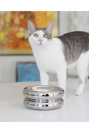 Catenary Home Elevated Halo Pet Bowl in Metallic Silver