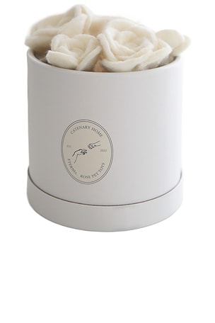 Flora Eterna Pet Toy Box Catenary Home