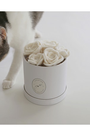Catenary Home Flora Eterna Pet Toy Box in White