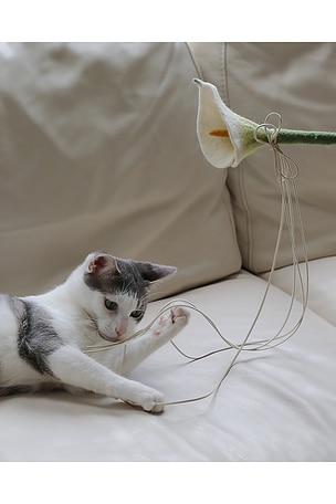 Catenary Home Flora Cat Wand Toy in Green