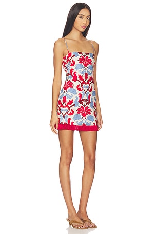 Cara Cara Valencia Mini Dress in Red,Blue