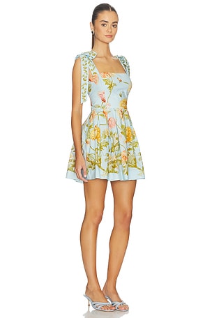 Cara Cara Tula Mini Dress in Baby Blue
