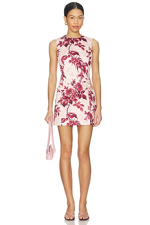 Posie Dress Cara Cara