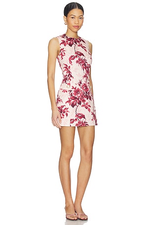 Cara Cara Posie Dress in Pink