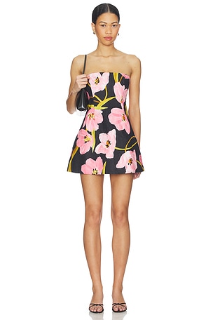 Ines Mini Dress Cara Cara