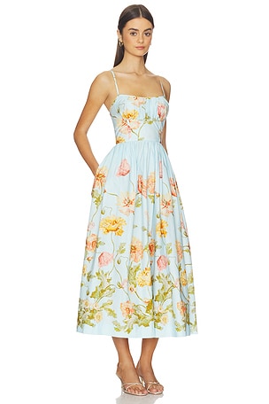 Alba Midi Dress Cara Cara