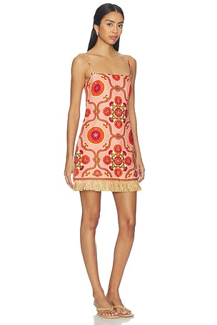 Cara Cara Valencia Mini Dress in Red