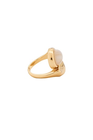 Casa Clara Arrow Fluid Rings in Metallic Gold