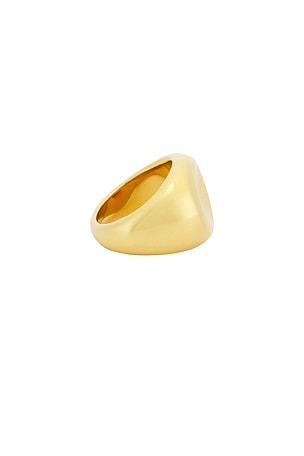 Casa Clara Palm Beach Ring in Metallic Gold