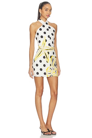 Cala de la Cruz Veneta Dress in White