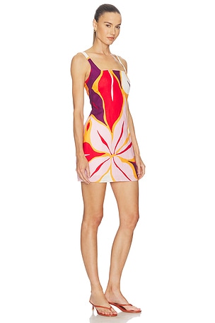 Cala de la Cruz Siela Dress in White,Red