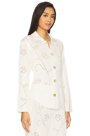 Calle Del Mar Ivy Long Sleeve Shirt in Cream