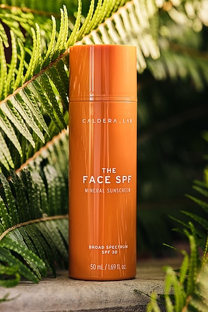 Caldera + Lab The Face Spf Mineral Sunscreen in Beauty: NA