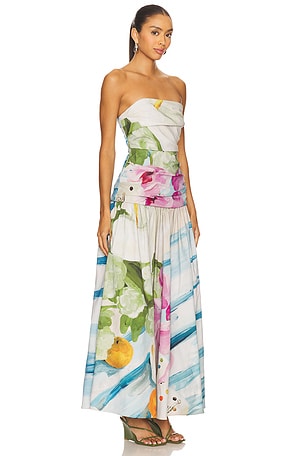Acler Nershall Maxi Dress in Blue,Ivory