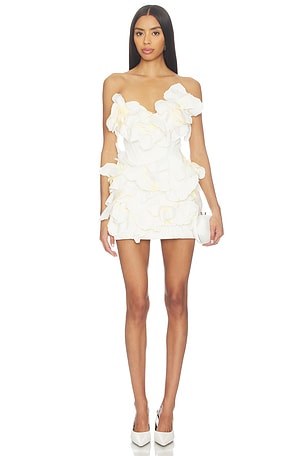 Jackhill Mini Dress Acler