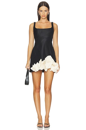 Pidgeonberry Mini Dress Acler
