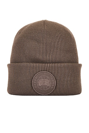 Arctic Toque Canada Goose