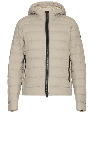 Canada Goose