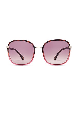 Franky Sunglasses Chloe