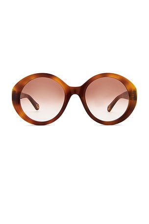 Marci Sunglasses Chloe
