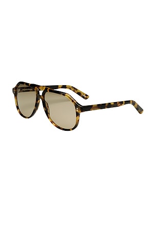 Chimi Sally Sunglasses
