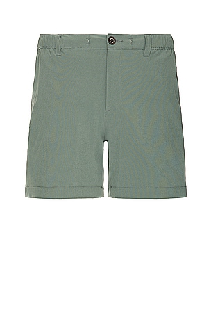 The Forests 6" Short Chubbies