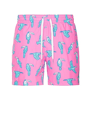 Chubbies The Domingos Are For Flamingos 7 Swim Short in Bright Blue