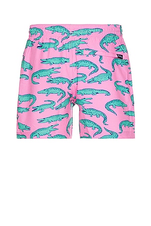 Chubbies The Glades 5