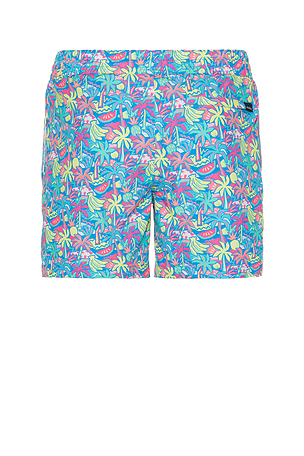 Chubbies The Tropical Bunches 5