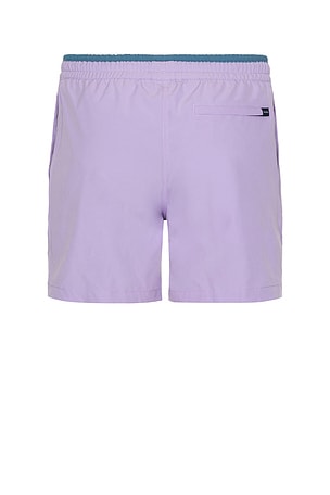 Chubbies The Love-nders 5