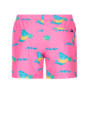 Chubbies The Pineapple Floaters 5