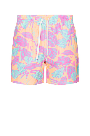 Chubbies
