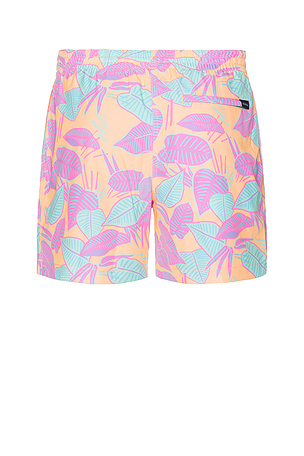 Chubbies The Posh Palms 5