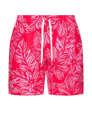 Chubbies