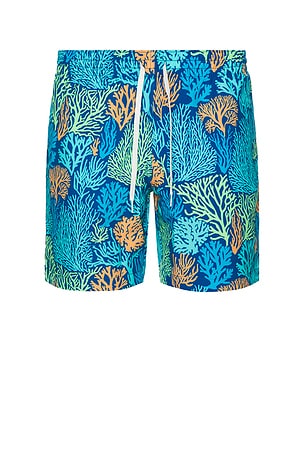 Chubbies