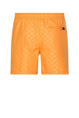 Chubbies The Carrot Cakes 5