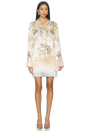 Mini Shirt Dress Camilla