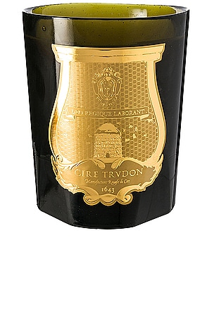 Ernesto Intermediate Scented Candle Trudon