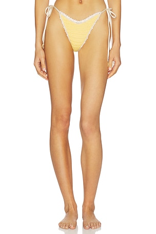 Trinidad Flower Bottom Capittana