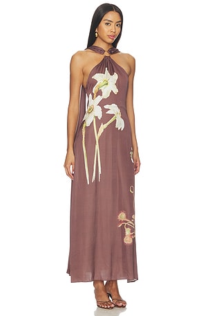 Cleobella Ives Maxi Dress in Brown. Size M. Also