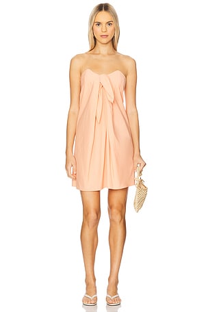 Kaia Mini Dress CAROLINE CONSTAS