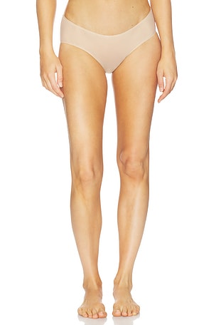 Chic Mesh Bikini Panty Commando