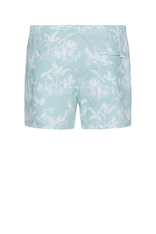 Club Monaco Arlen Swim Short in Mint