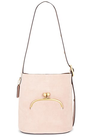 Bleecker Bucket Bag Coach