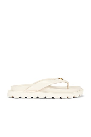 Brynn Thong Sandal Coach