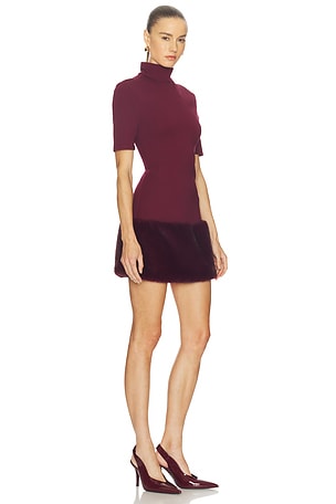 Camila Coelho Isadora Mini Dress in Burgundy