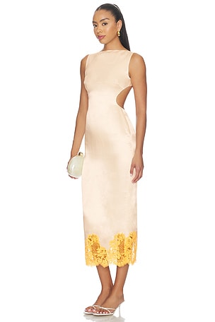 Mireya Maxi Dress Camila Coelho