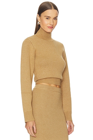 Camila Coelho Costansa Turtleneck Sweater in Tan