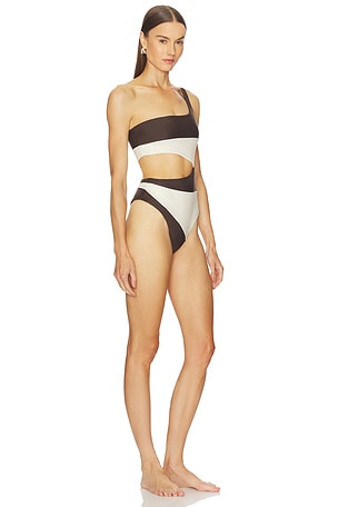 Camila Coelho Rumba One Piece in Brown