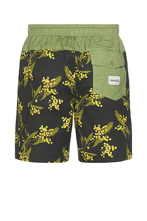 Critical Slide Acarcia 17 Swim Trunk